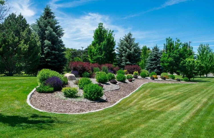 Professional Landscaping Detail